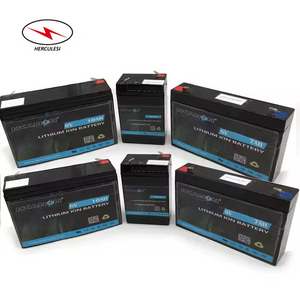 6 Volt Storage Batteie Toy Car Battery Recharge Li-ion Batteries 6V 10Ah